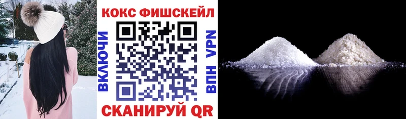 Купить где  Петухово  COCAIN Fish Scale 